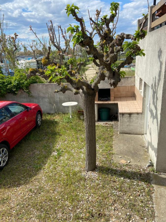 Appt Avec Parking, Clim, Wifi A 50 M De La Plage Палава-ле-Фло Экстерьер фото